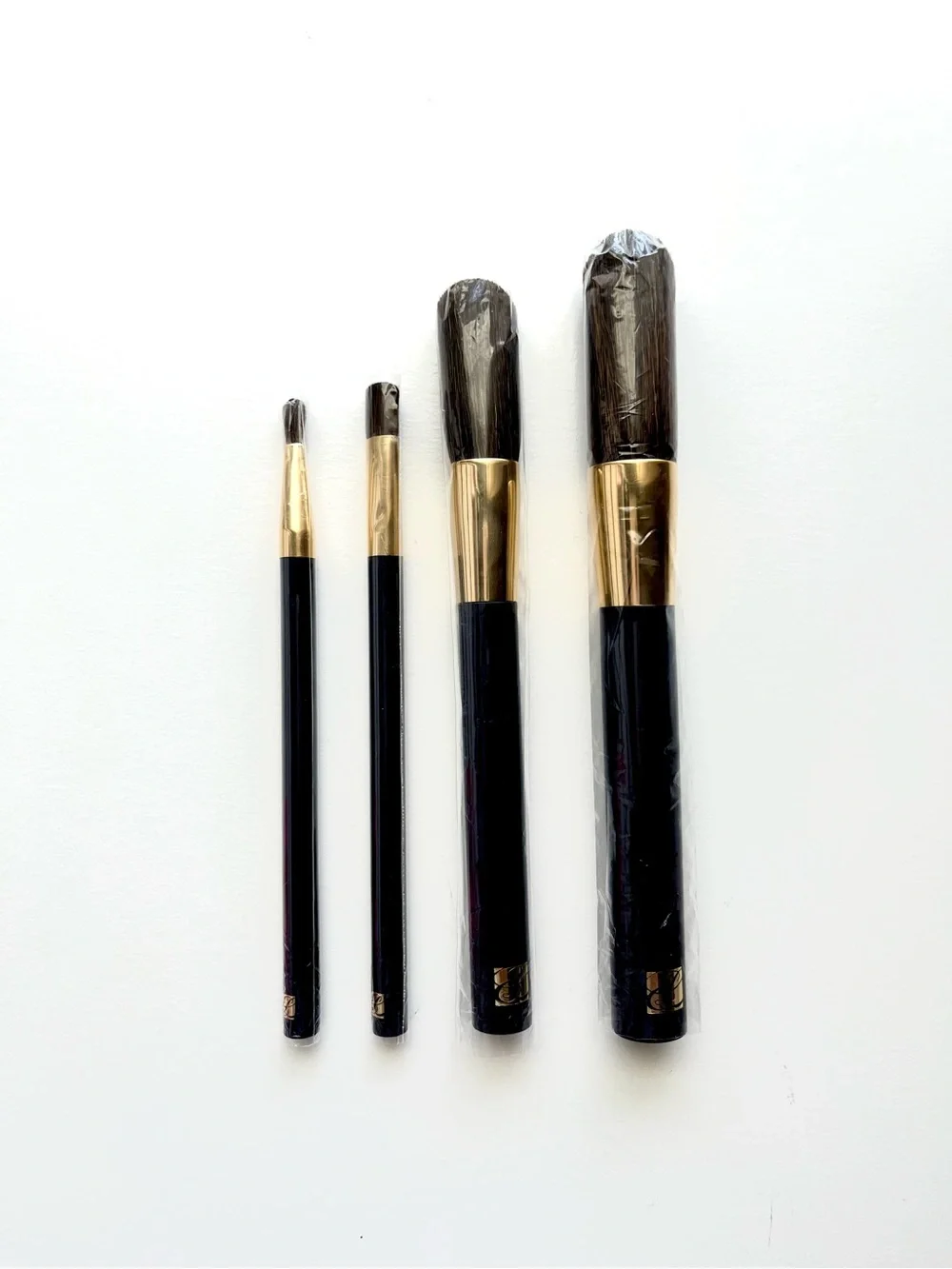 🆕 Estée Lauder Brush Set with Case